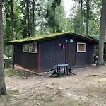 Nova Mazury * Swieta Lipka