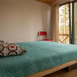 Nova Mazury *