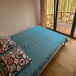 Nova Mazury *