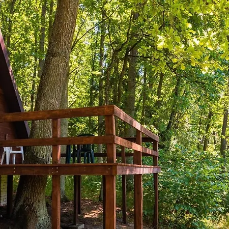 Lodge Nova Mazury *