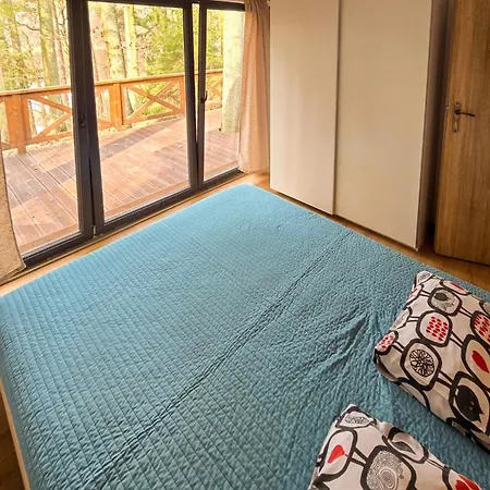 Orman Evi Nova Mazury *
