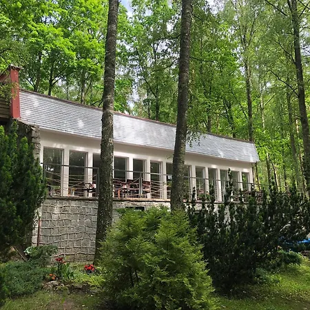 Nova Mazury שוויינטה ליפקה