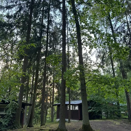 Деревянный коттедж Nova Mazury *