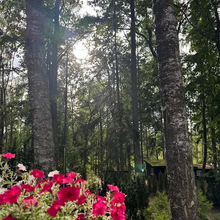 Nova Mazury * Швента-Липка