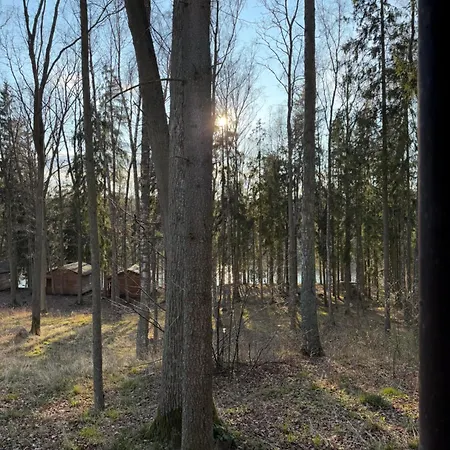 Nova Mazury Orman Evi