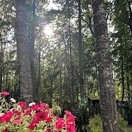 Nova Mazury Lodge Swieta Lipka